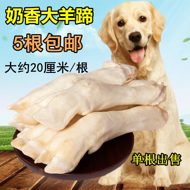 宠物幼犬磨牙羊蹄