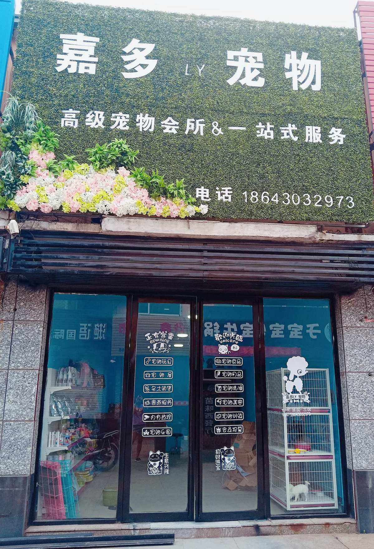 开个宠物会所-宠物店开设条件