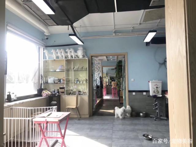 关于宠物店-关于宠物店监控的法律规定