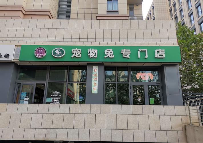 珠海市那里有宠物店-珠海宠物店各品种宠物价格