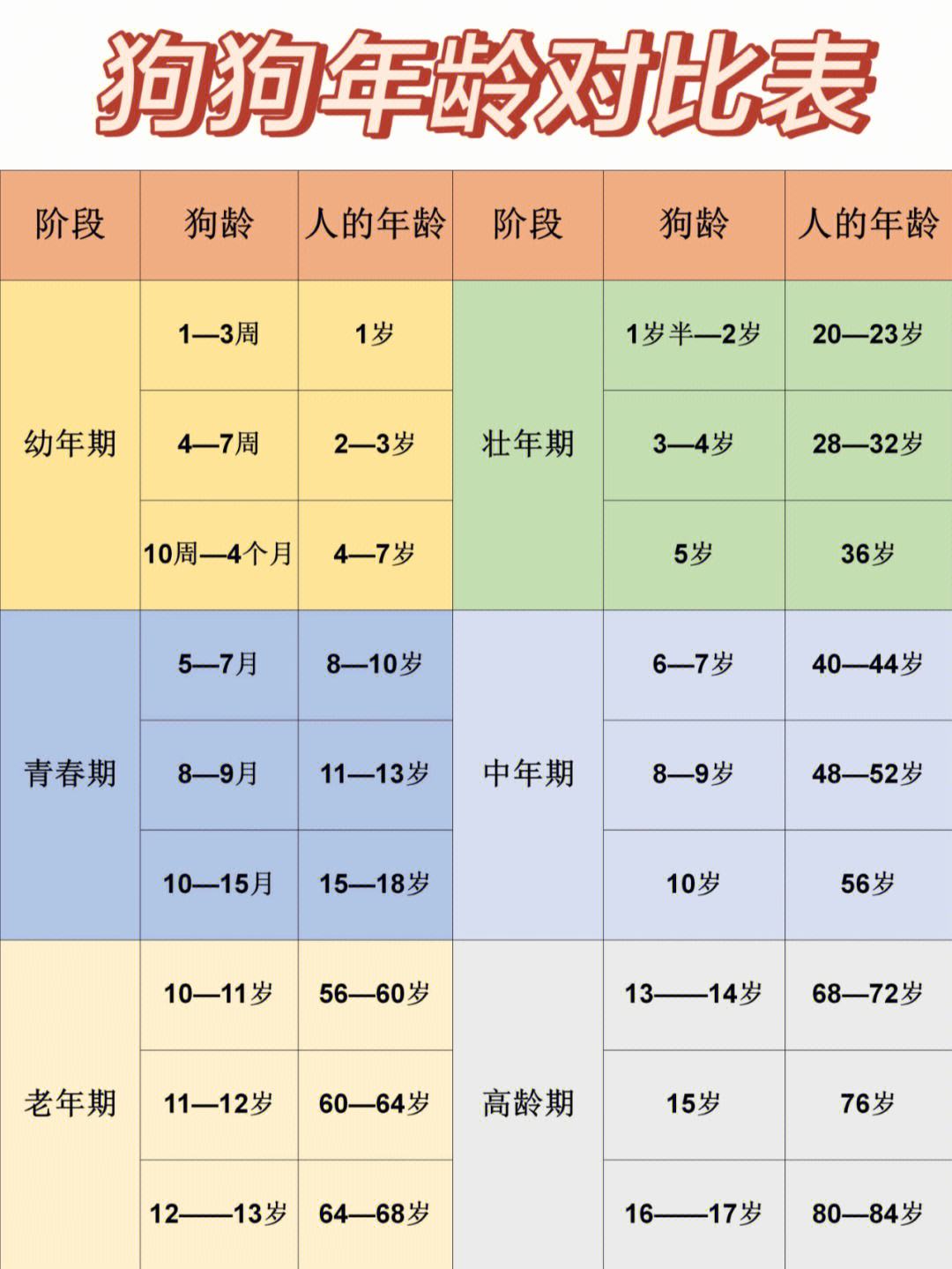 狗狗年龄怎么算-狗狗怎么看年龄多大啦