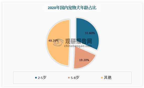 宠物未来市场怎么样-宠物未来市场怎么样啊