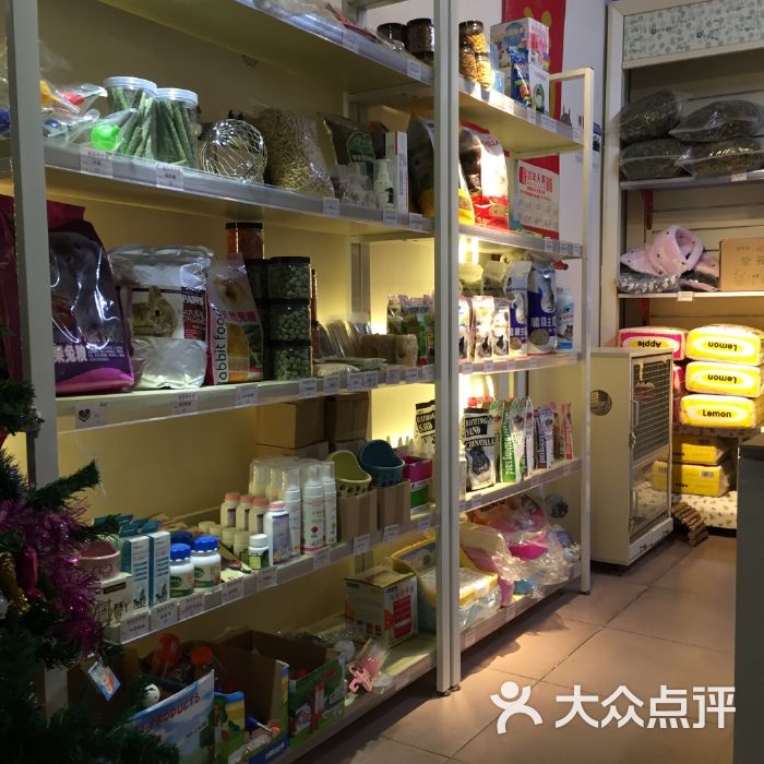 北京靠谱的宠物商店-北京最大最好的宠物店