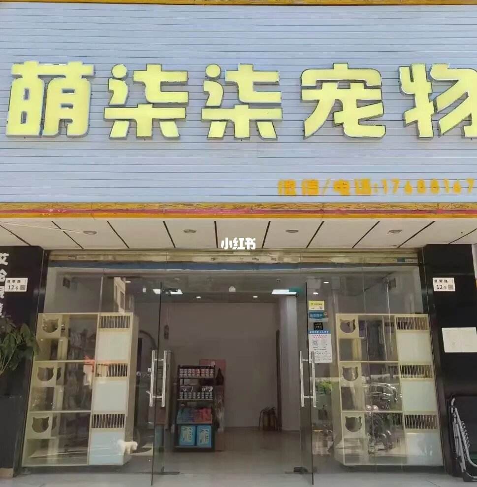 开宠物店需要什么条件-开宠物店需要什么条件?什么技术?