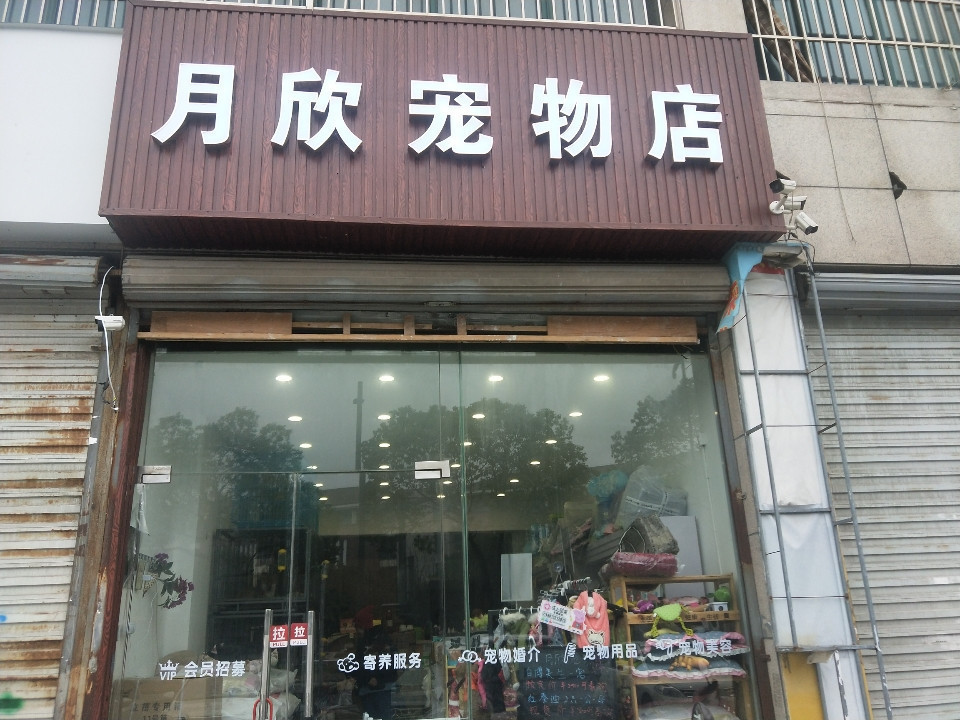 兰州的宠物店在哪