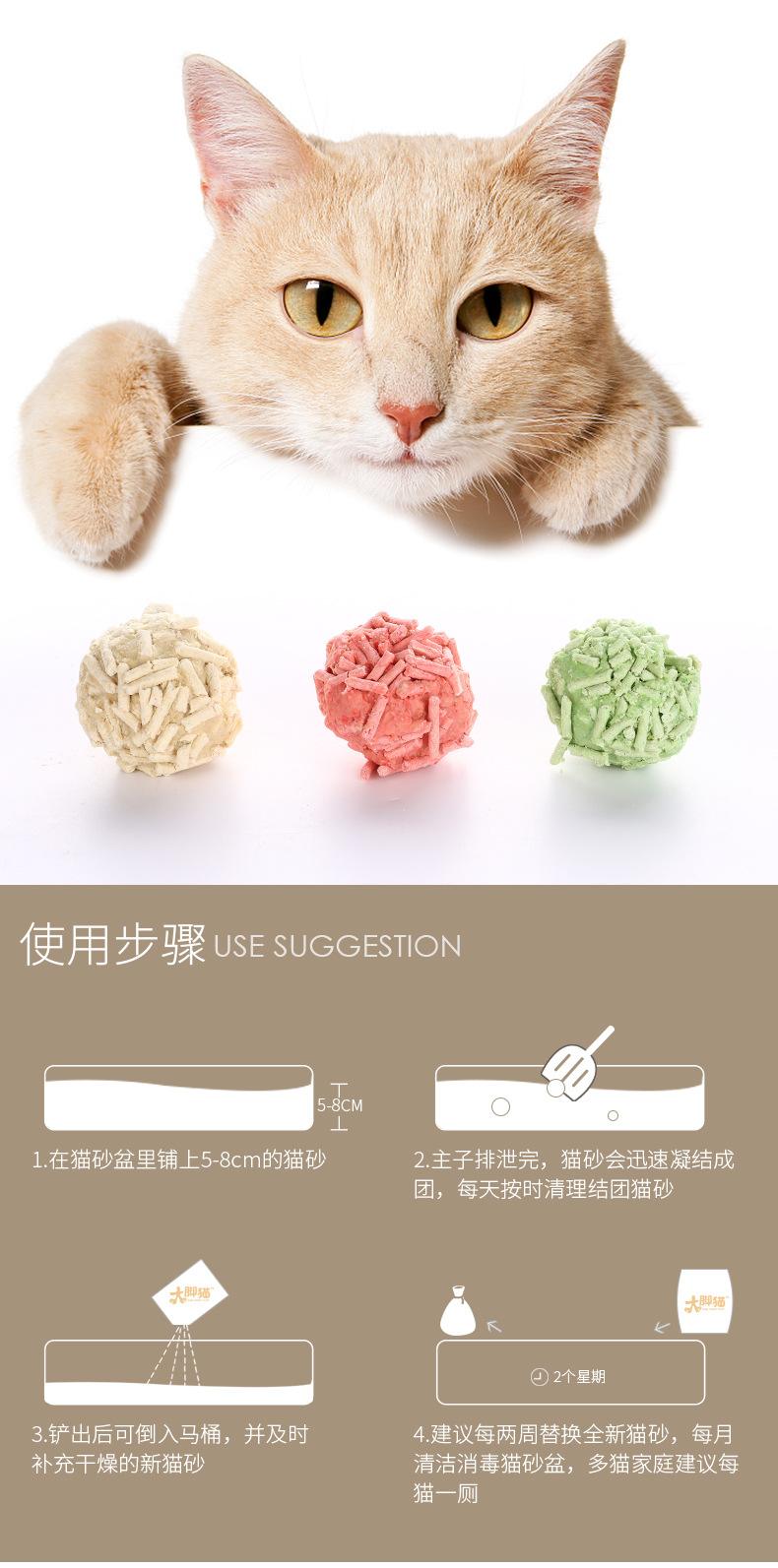 怎么教小猫用猫砂