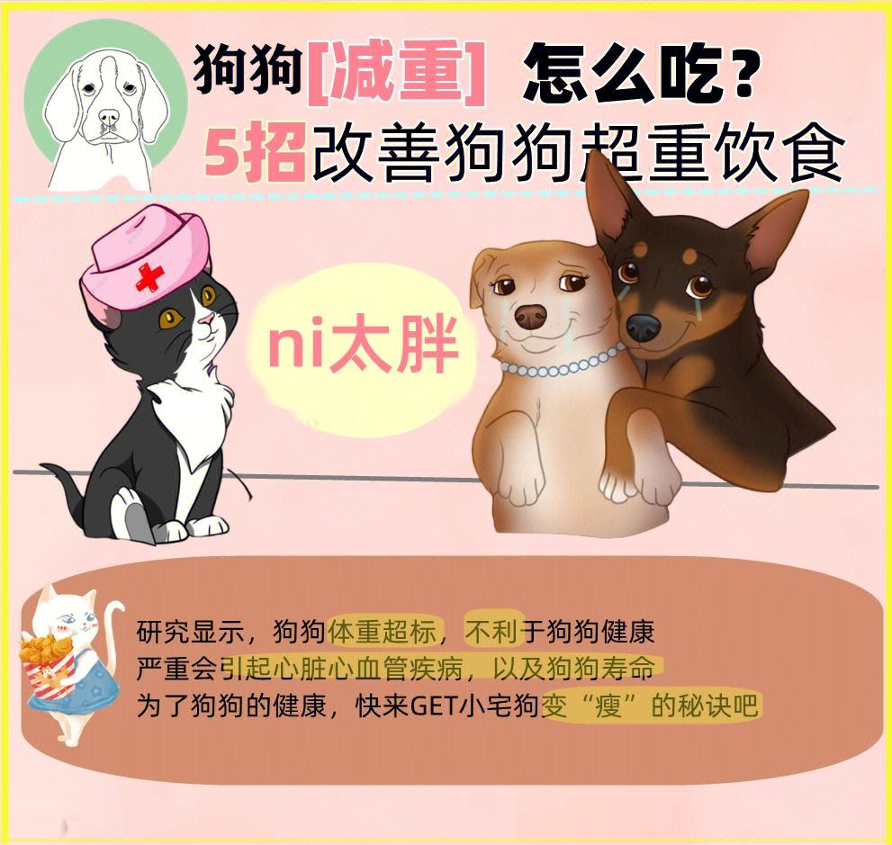 宠物肥胖评估-犬猫肥胖综合征