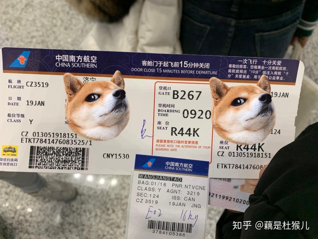 中国航空公司宠物