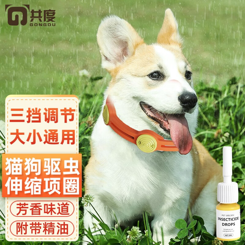 宠物犬做驱虫多少钱-宠物犬做驱虫多少钱一针