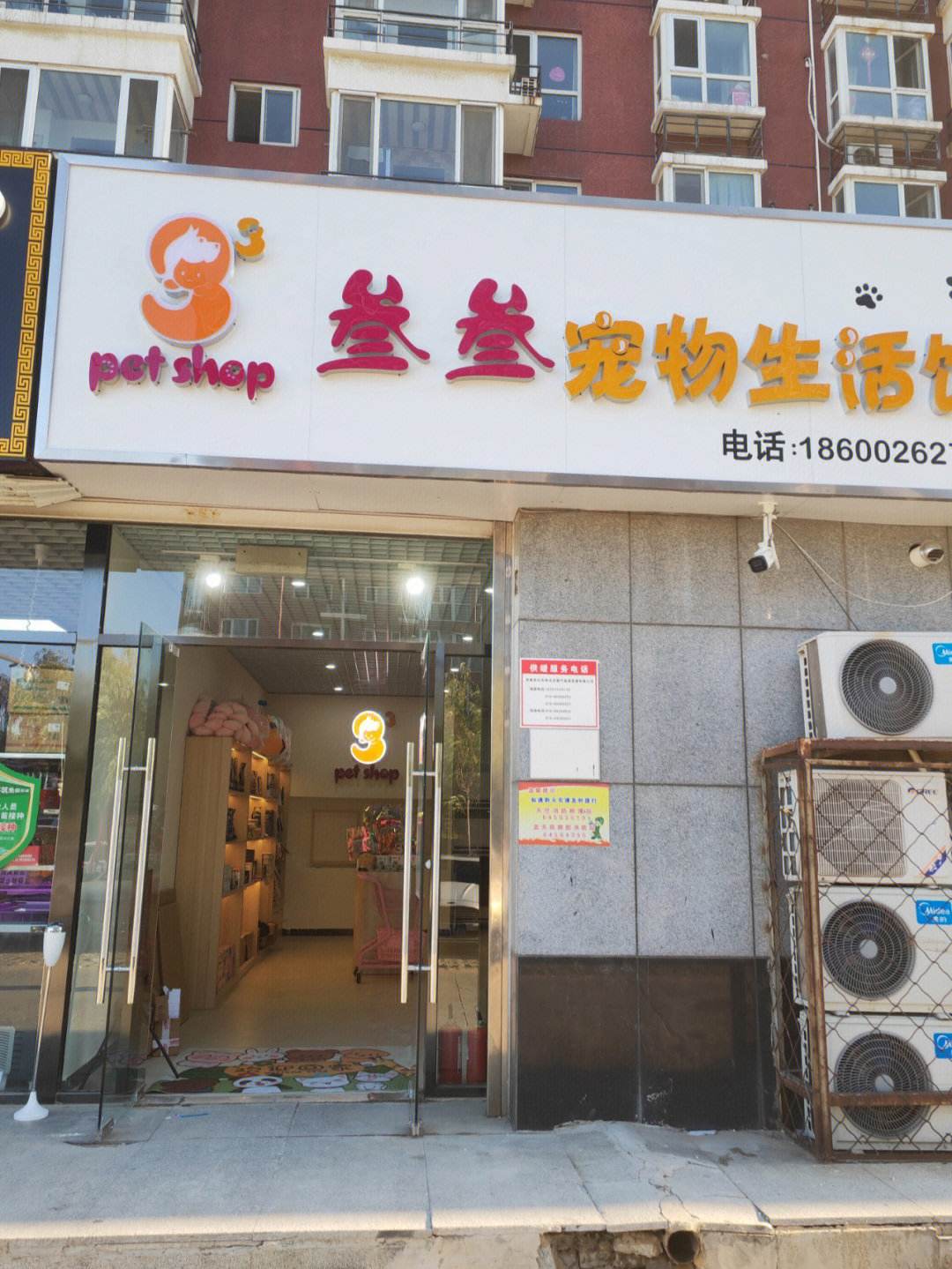 新加坡最好的宠物店-新加坡哪里可以买宠物