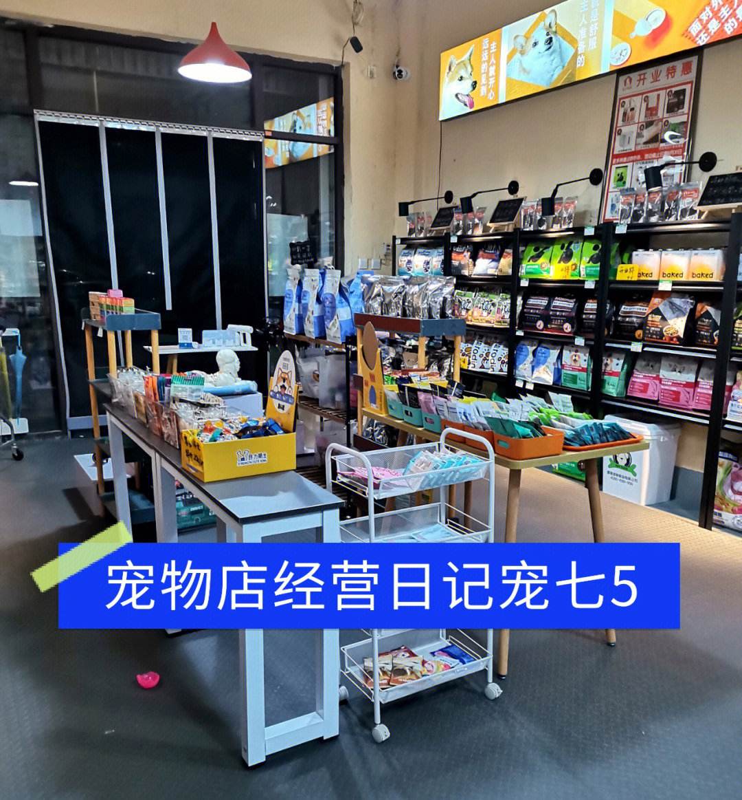 宠物店怎样经营管理-宠物店经营最重要的环节是什么