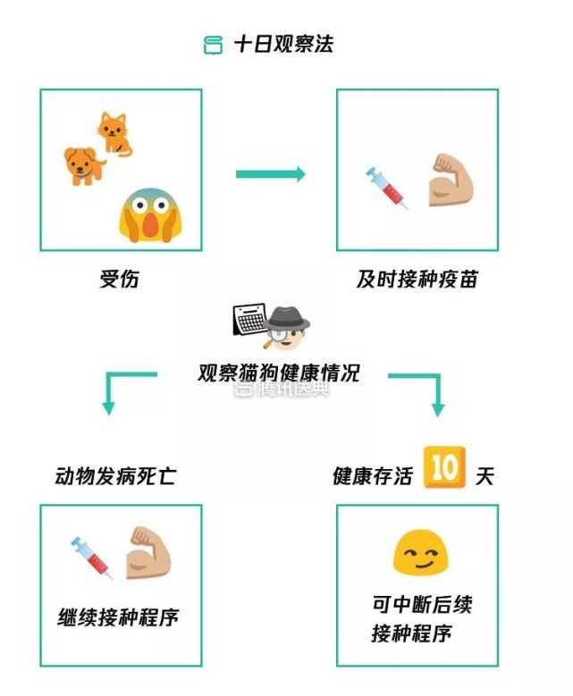 包含狂犬育苗在哪里打的词条