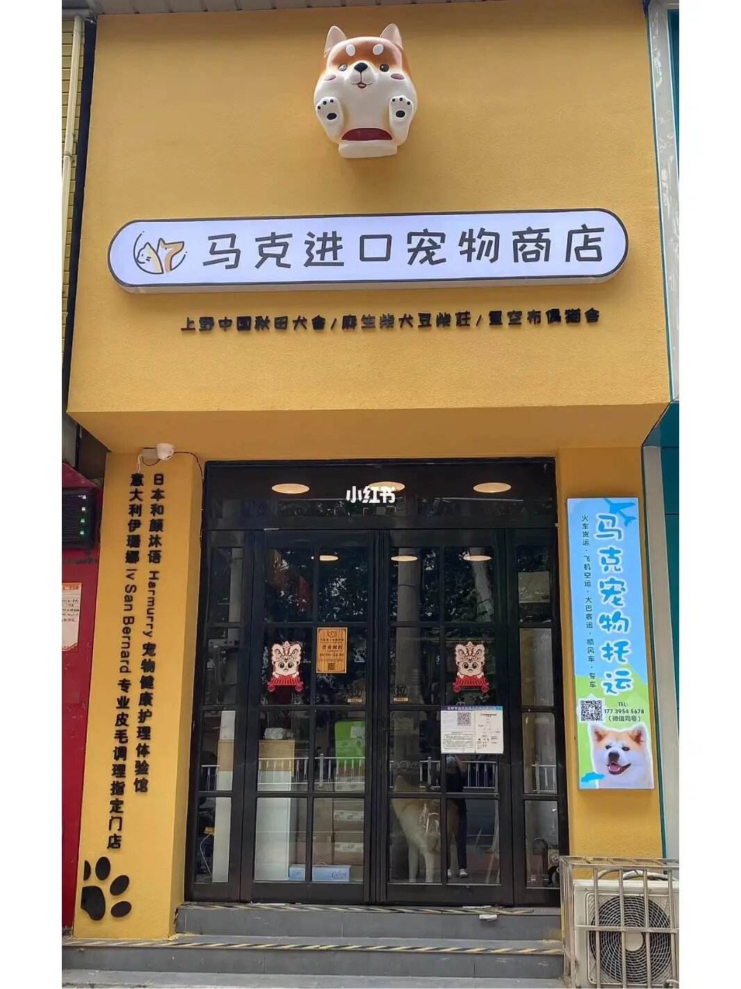 郑州宠物店电话-郑州市宠物店