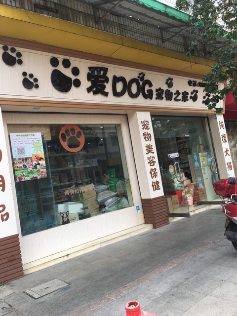 兰州的宠物店在哪里