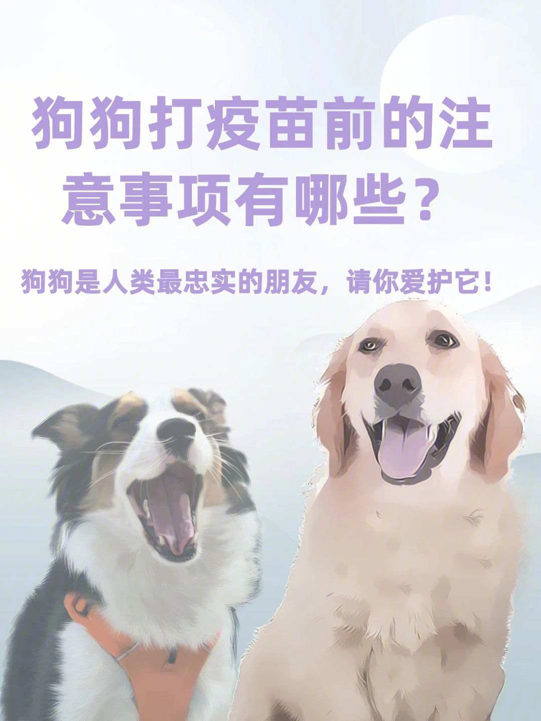 宠物狗打进口疫苗