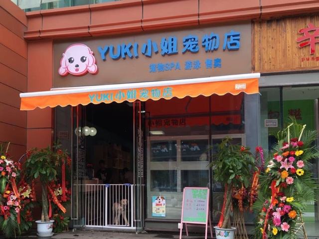 给宠物店取名字-给宠物店取名字大全