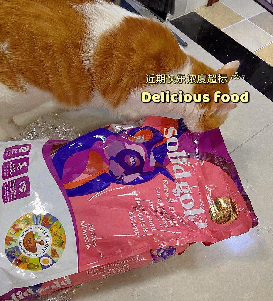 素力高猫粮怎么样