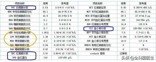 血常规检查价格-血常规检查多少钱