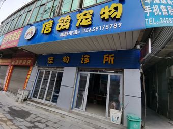 福州买宠物店