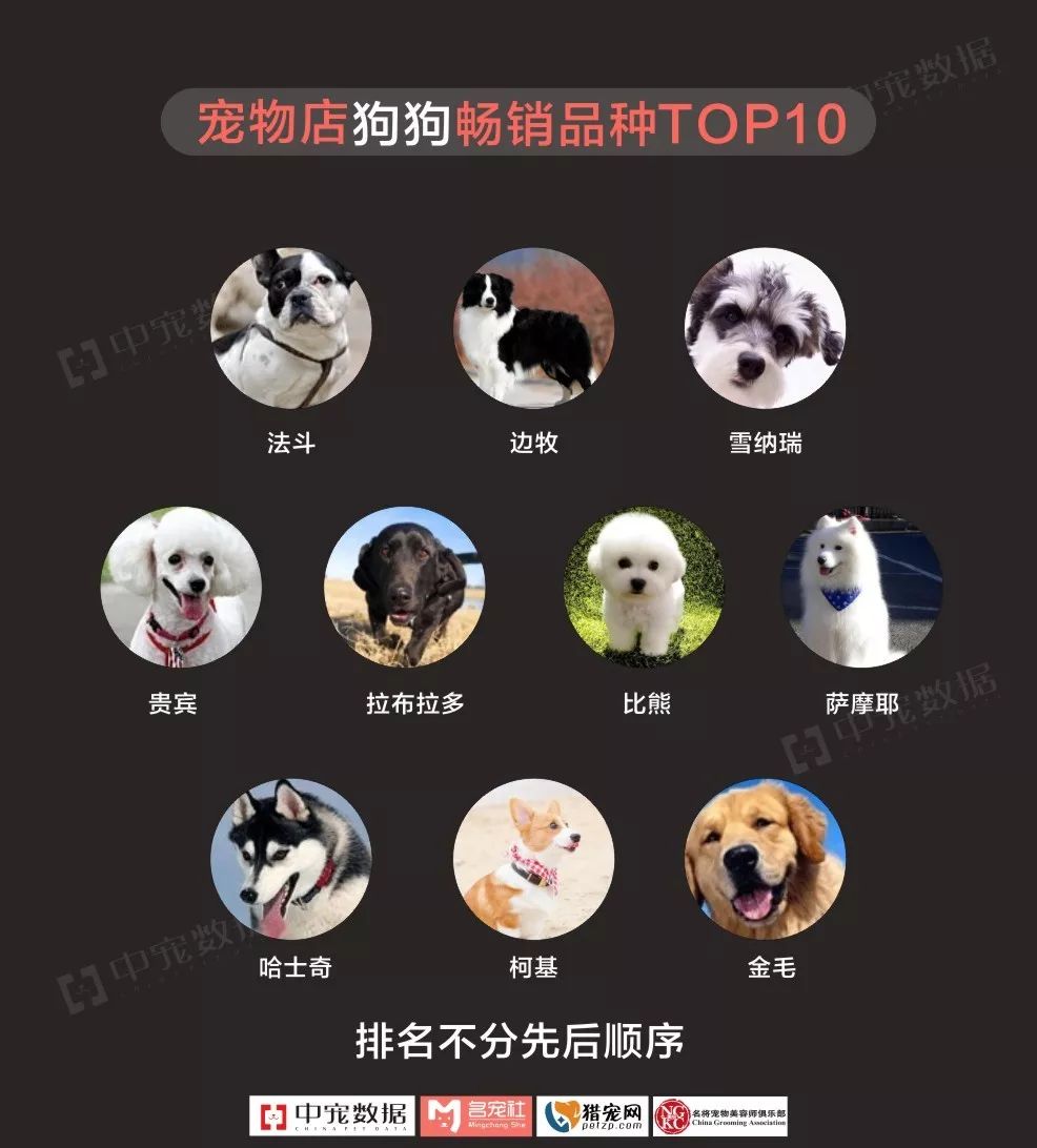 中国宠物行业公司-中国宠物行业公司排行榜