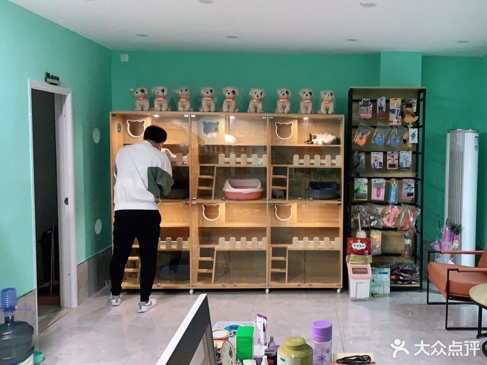 再生宠物店好不好-再生宠物店好不好开