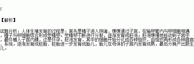 生理现象是啥意思