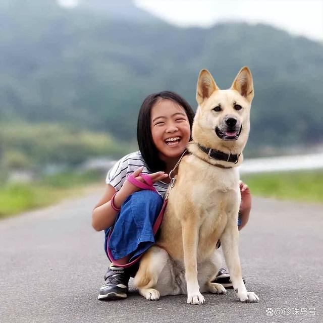 宠物给人类-宠物给人类带来的影响