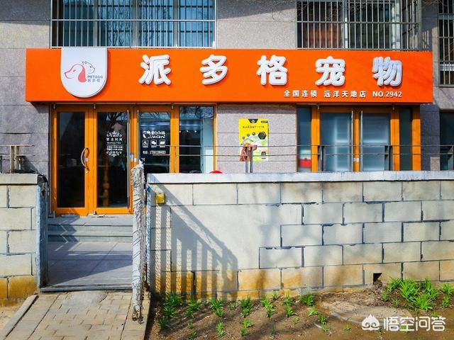 中国有多少家宠物店-中国有多少家宠物店铺