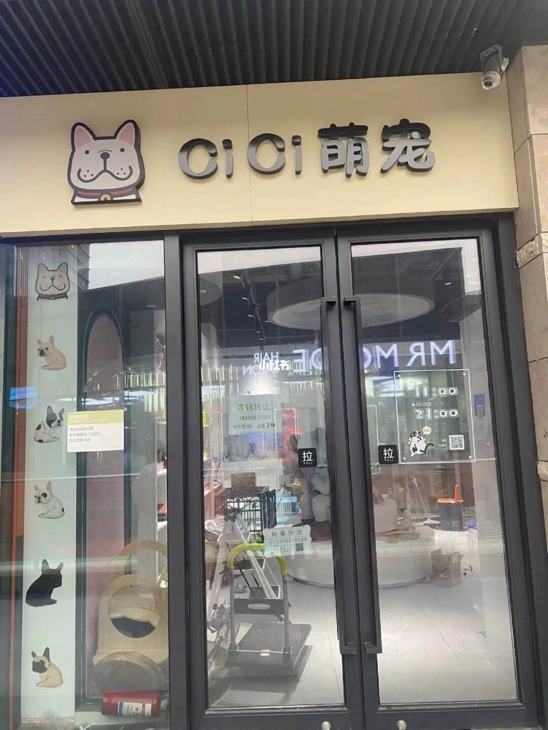 南昌宠物店转让