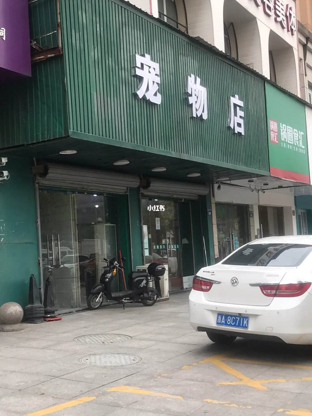 宠物店卖啥宠物