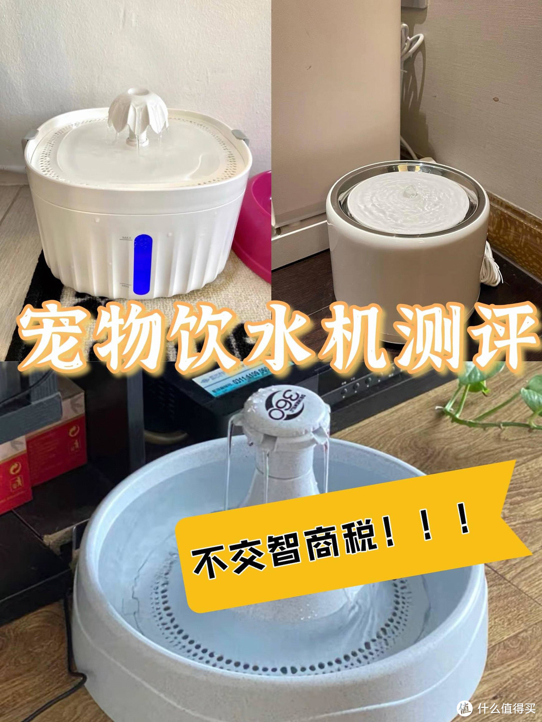 宠物饮水器测评-宠物饮水器测评结果