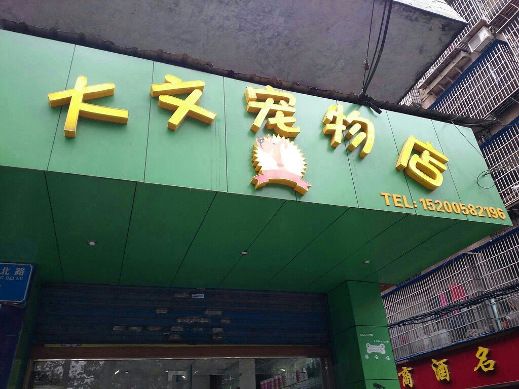 宠物店的地址在哪里-宠物店的地址在哪里找