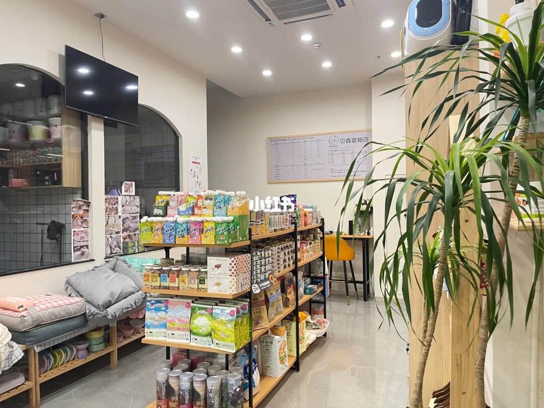 宠物店的地址在哪里-宠物店的地址在哪里找