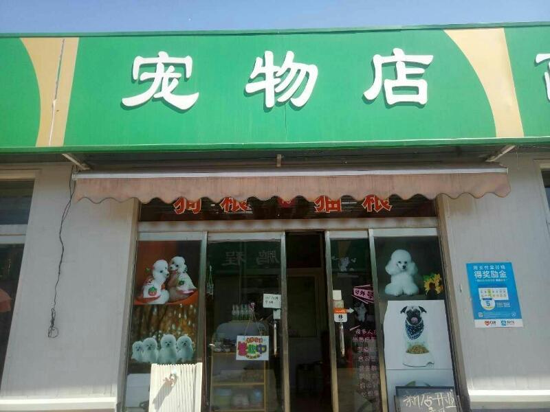 宠物店怎么不买宠物呢-宠物店里卖不掉的动物怎么办