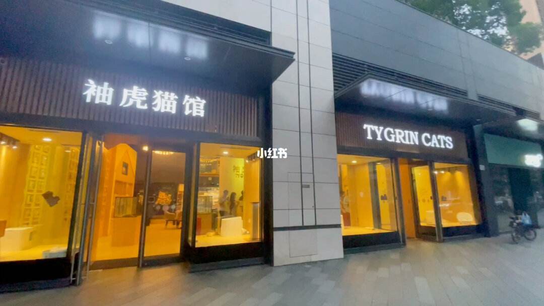 深圳宠物店一般几点关门-深圳宠物店上班多少钱一个月