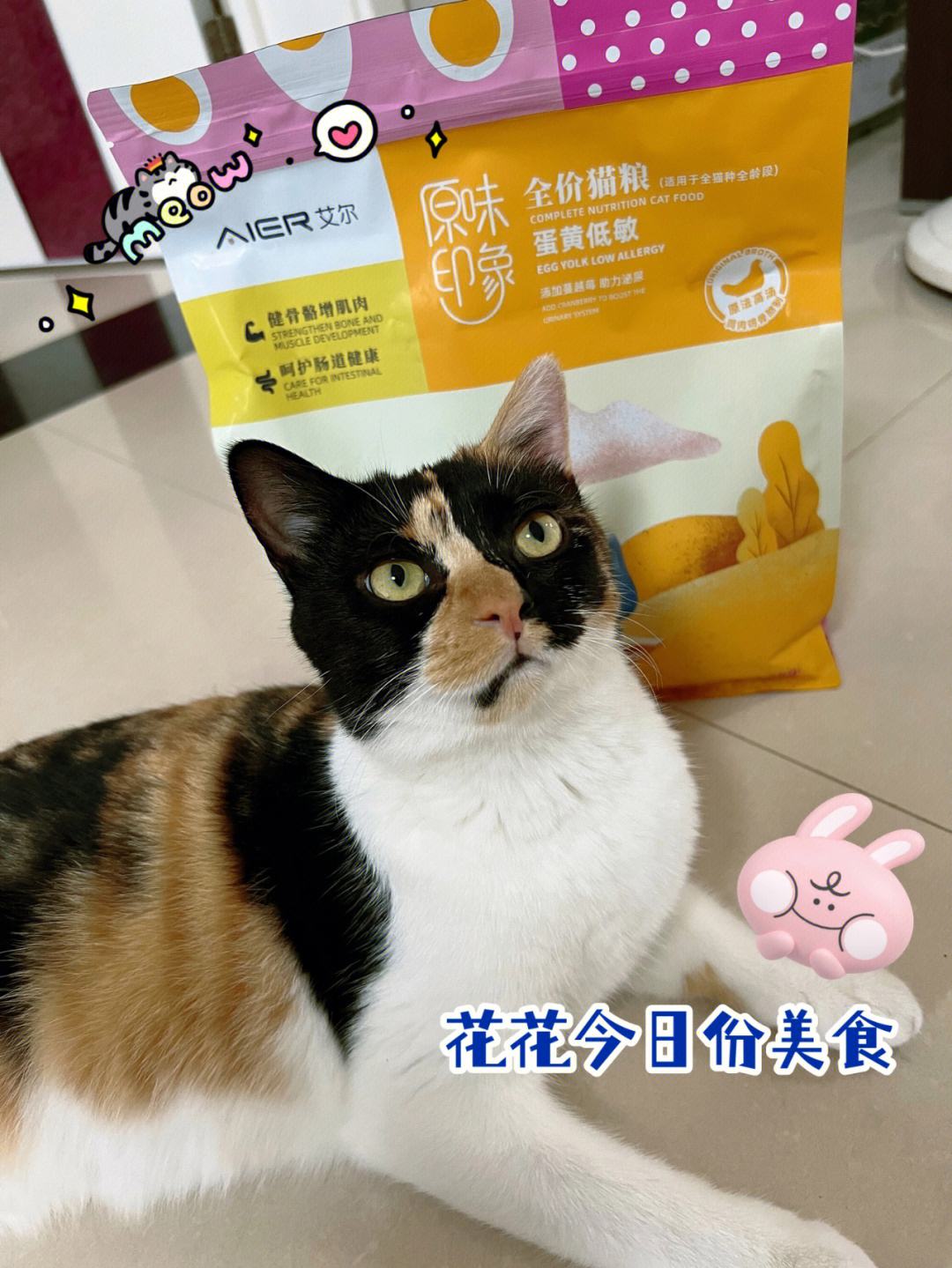 猫能不能吃蛋黄-猫能不能吃蛋黄派