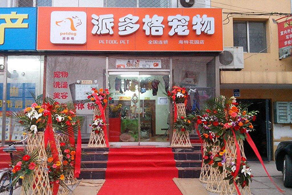 派多格宠物店在哪-派多格宠物店卖狗吗