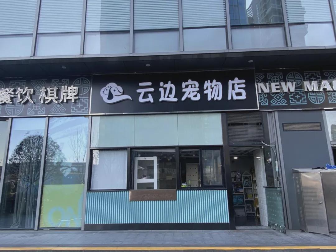 宠物店开在什么地方好-宠物店开在什么地方好呢