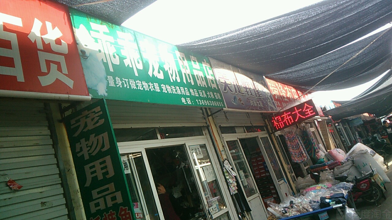 烟台开发区宠物市场-烟台开发区宠物美容店