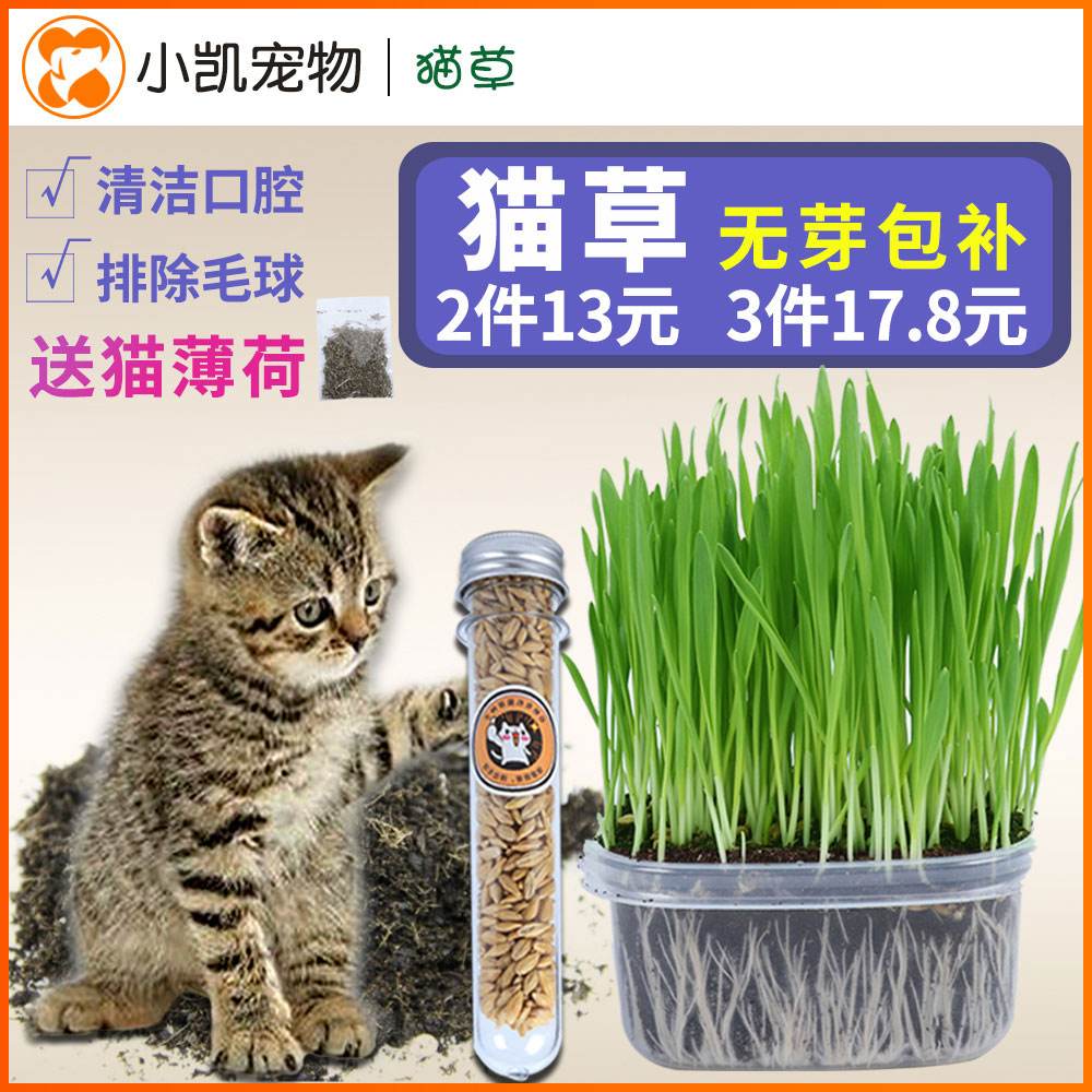 猫草有什么作用-猫爪草有什么作用