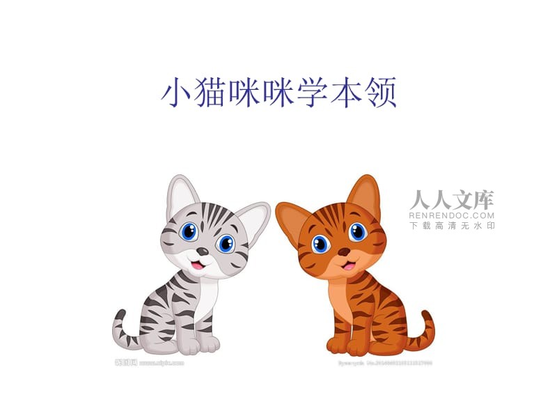 小猫的本领-小猫的本领有哪些