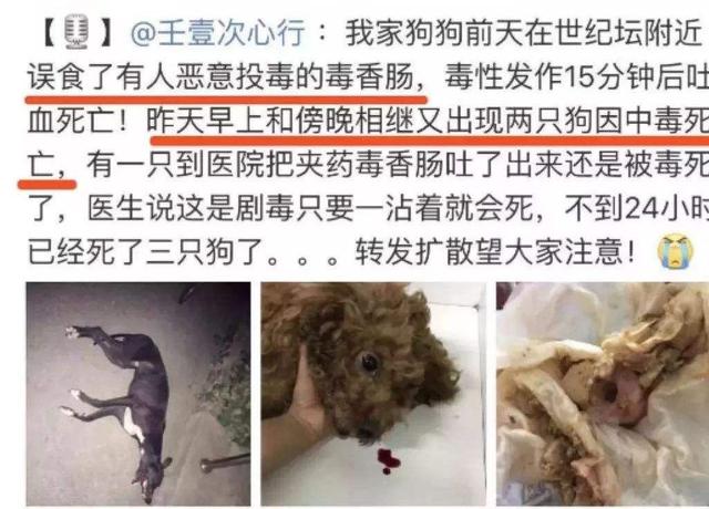 宠物狗中毒了-宠物狗中毒后会出现什么症状