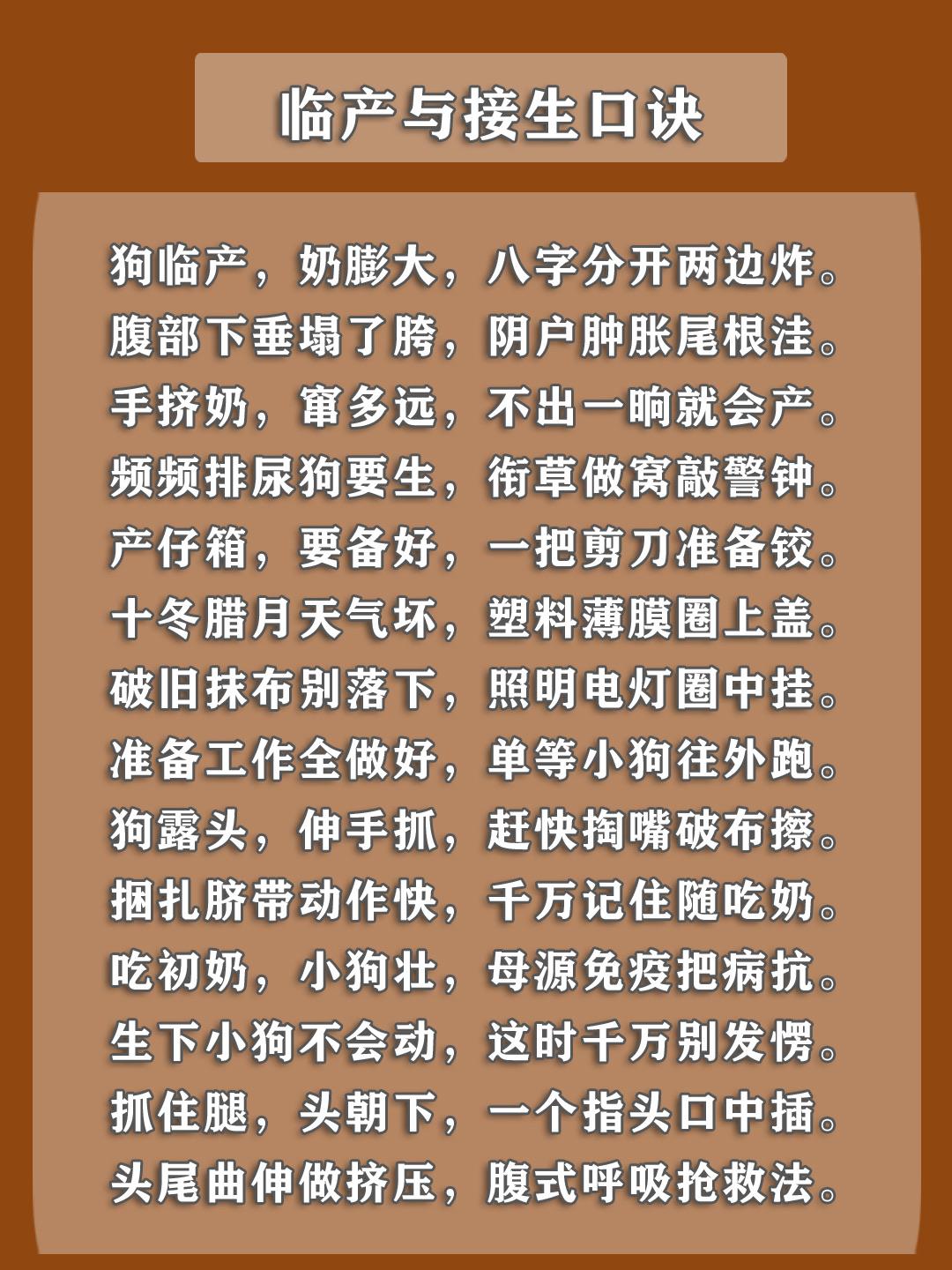 宠物运剪口诀的理解-宠物运剪口诀是什么?