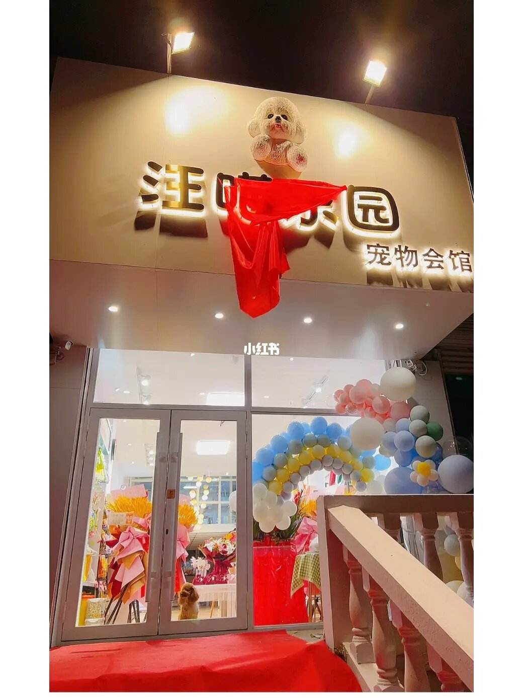 县城宠物店