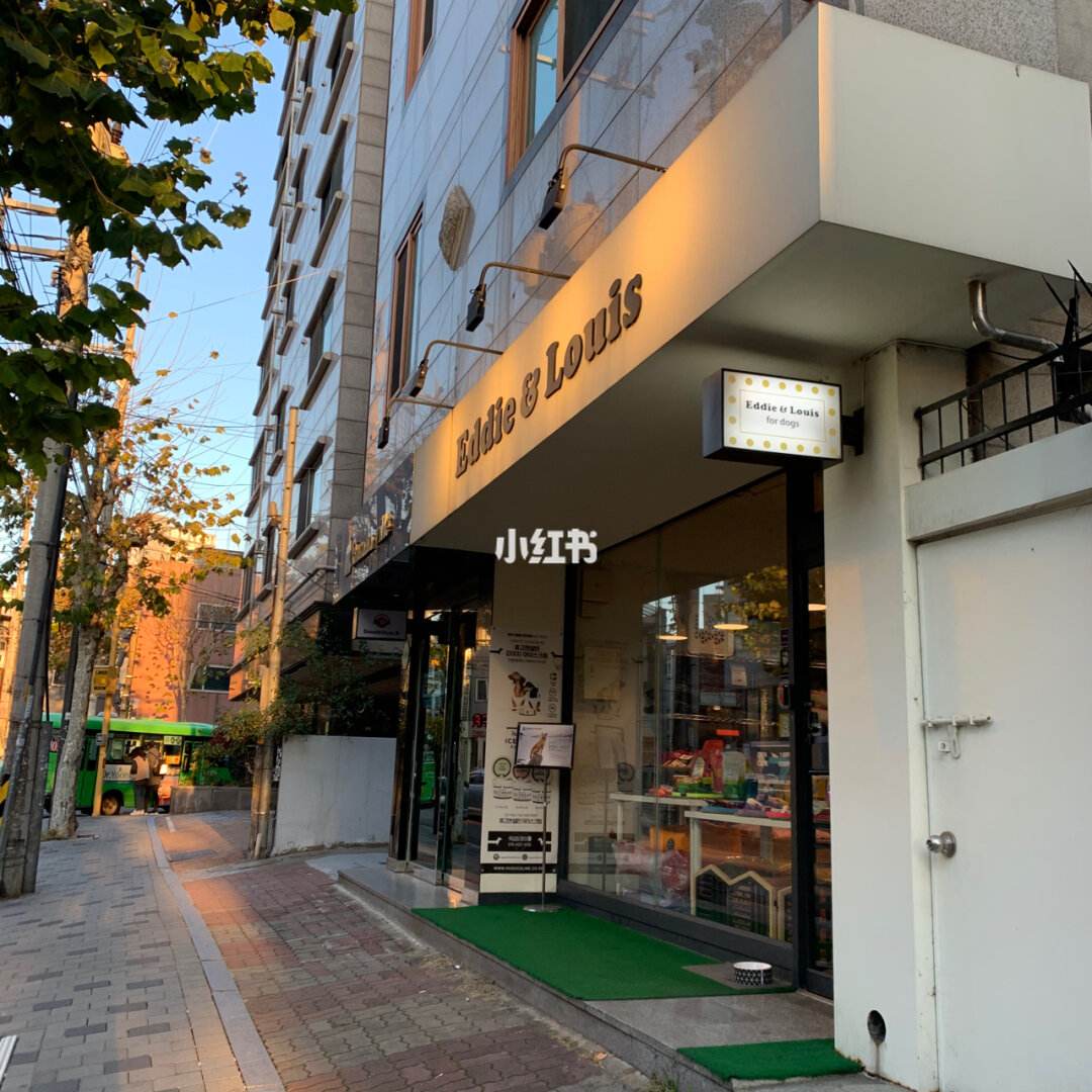 韩国知名宠物店