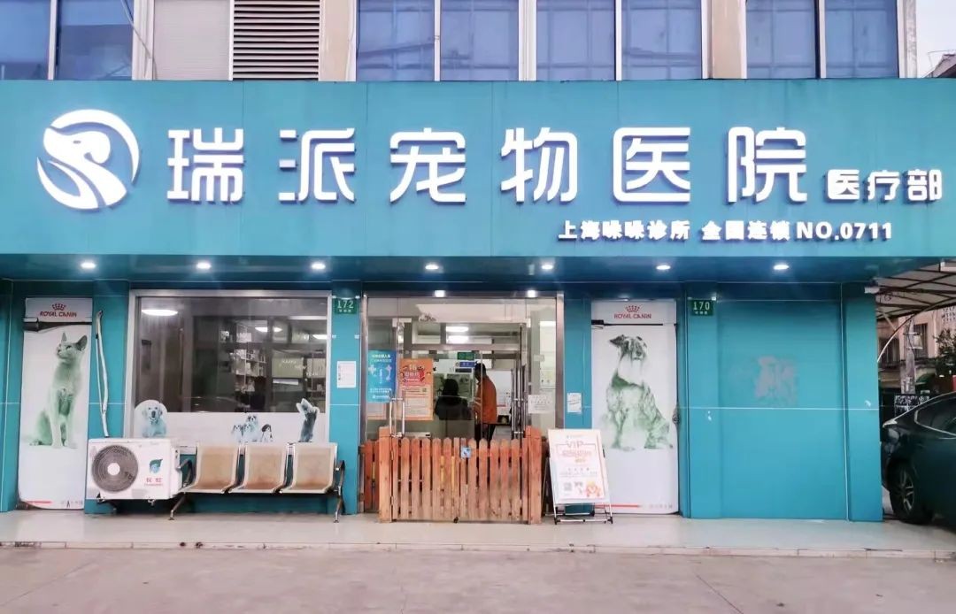 浦东新区宠物店