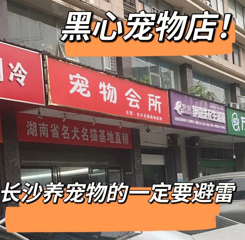 开宠物店要学什么-开宠物店需要具备哪些专业知识