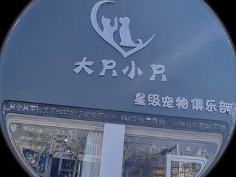 杭州市宠物店宠物会所