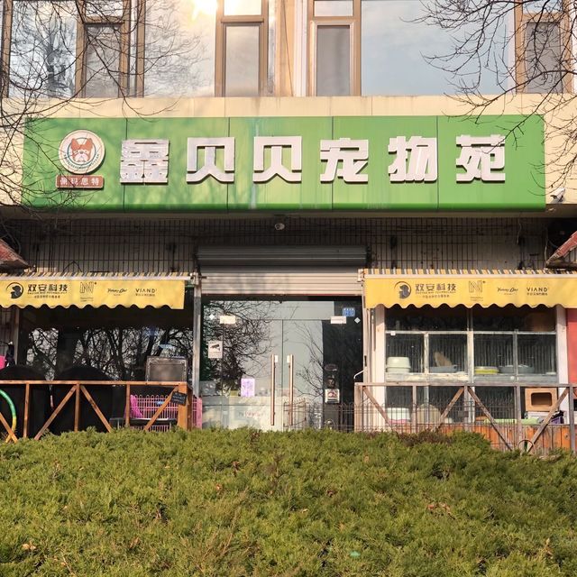 青岛大型宠物店