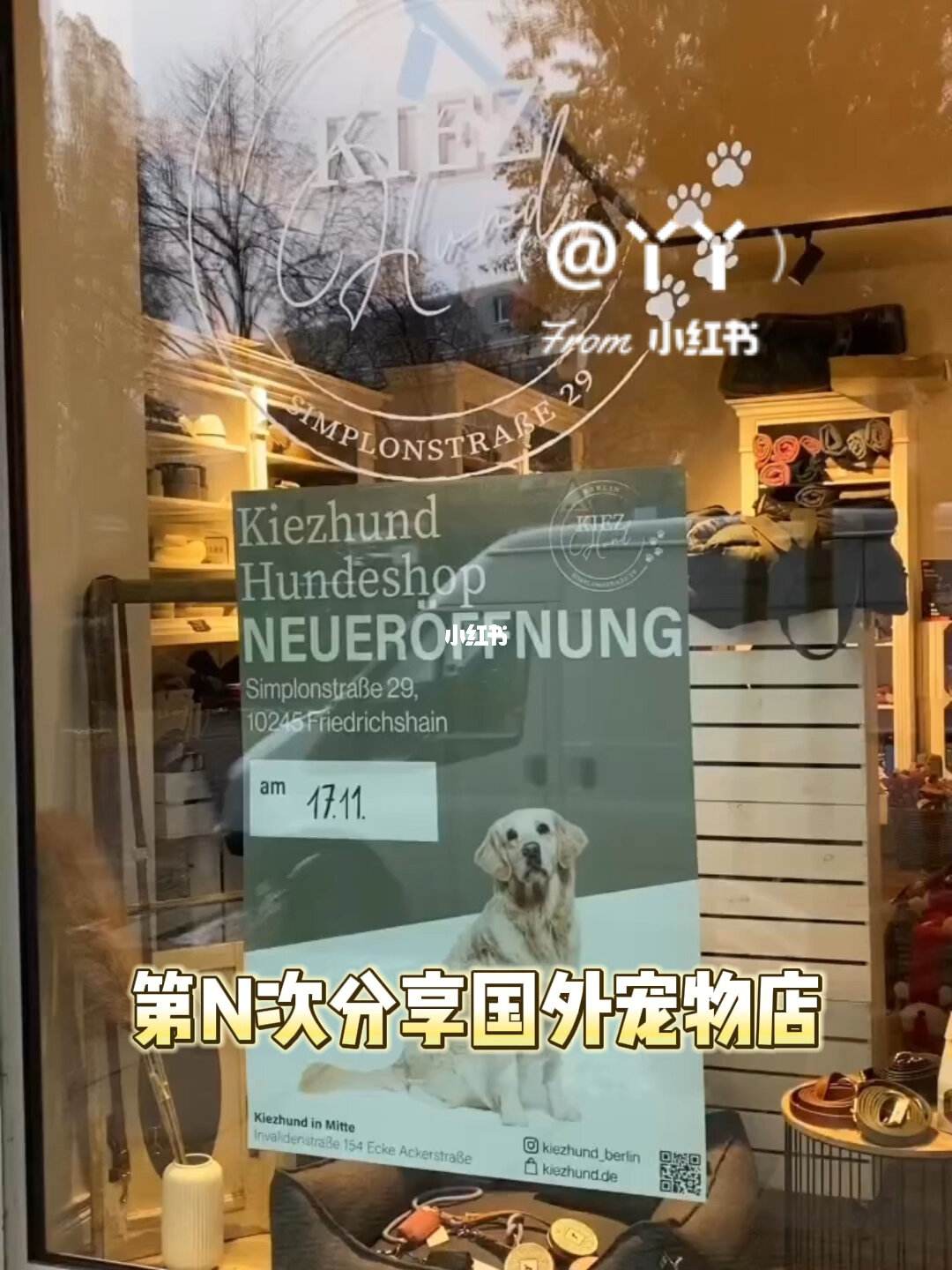 全国有多少宠物店